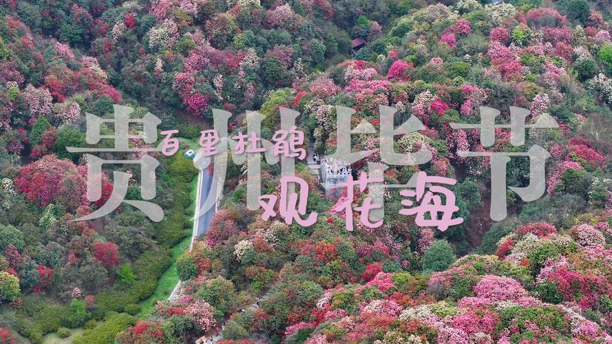 pikaqiu15 第156页