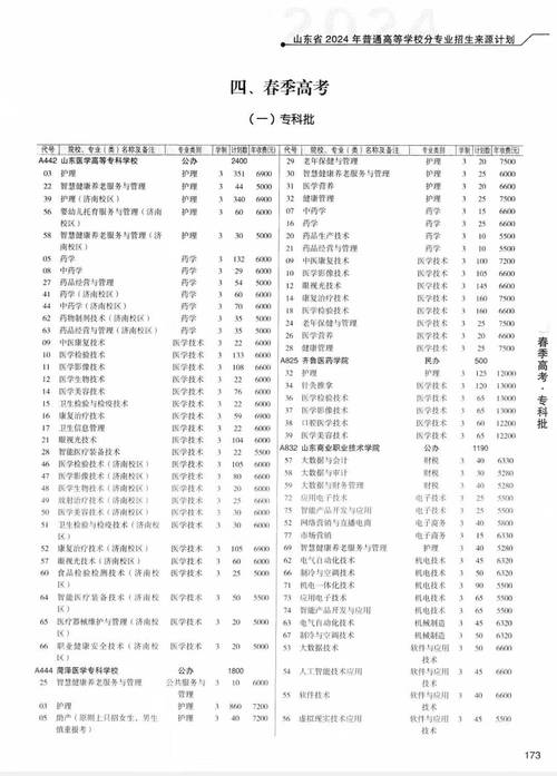 山东“软件与应用技术”春考，本科、专科，多少分？2025春考报考