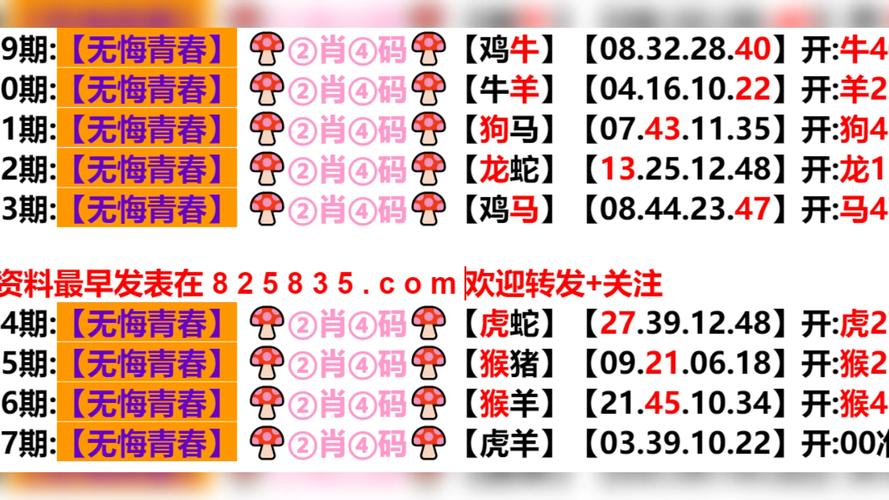 2024今晚澳门开奖结果-全面释义、专家解释与落实与警惕虚假宣传