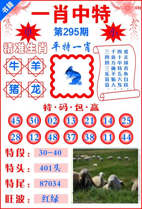 查今晚澳门码开奖结果-全面释义、专家解释与落实与警惕虚假宣传