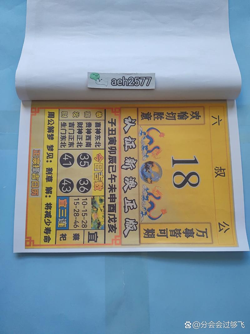 2024新澳门正版免费挂牌灯牌,全面释义、专家解释与落实与警惕虚假宣传
