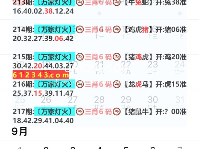 新澳门资料大全正版资料?奥利奥入乇吉语,全面释义、专家解释与落实与警惕虚假宣传