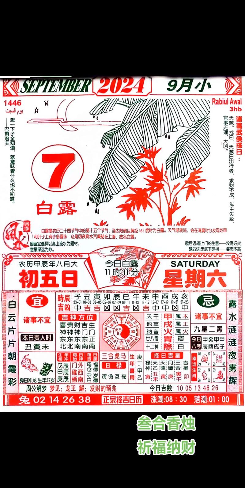 新2025澳门天天开好彩生肖对照表,精选释义、解释与落实与警惕虚假宣传