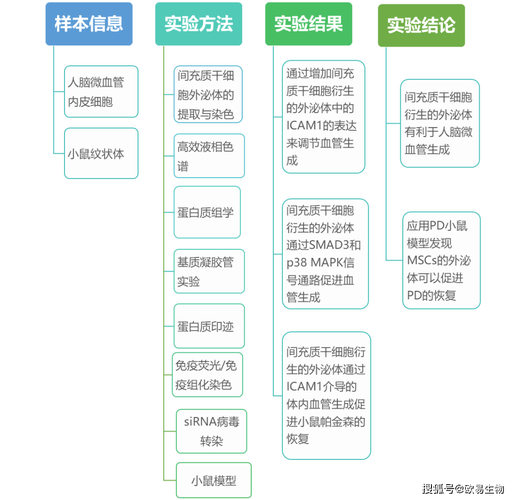 2025新奥资料正版大全,全面释义、专家解释与落实与警惕虚假宣传