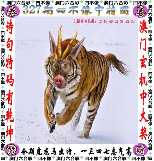 今晚澳门天天开彩开奖结果查询,2025年最新实用信息汇总指南