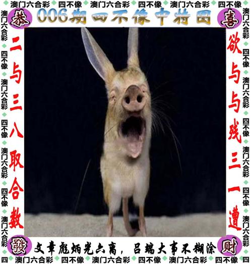 澳门最准四不像网凤凰游戏网2023,全面释义、解释与落实与警惕虚假宣传
