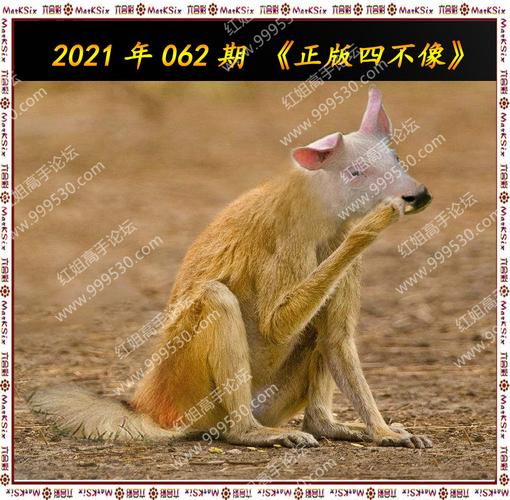 澳门最准四不像水果奶奶,全面释义、解释与落实与警惕虚假宣传