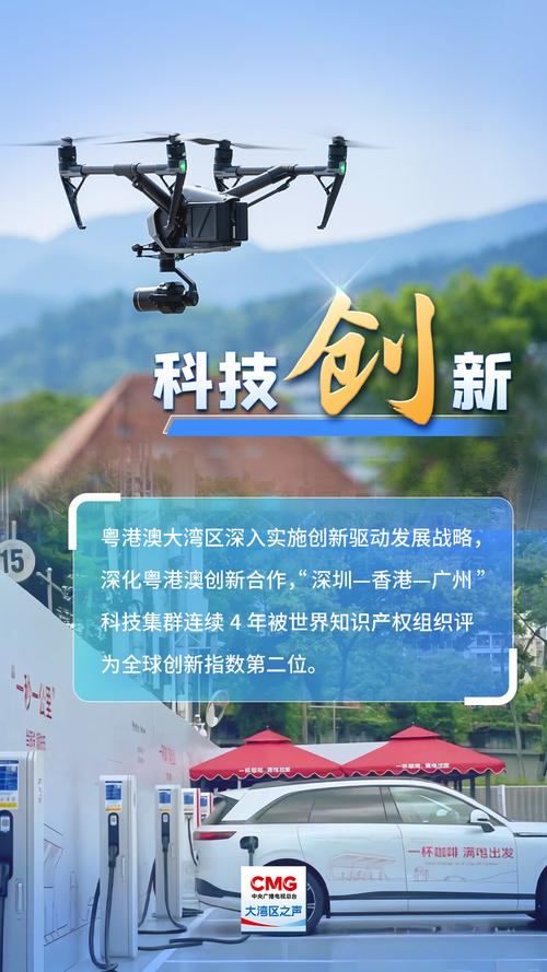 澳门最精准正最精准龙门-2025全面解析实用技巧分享