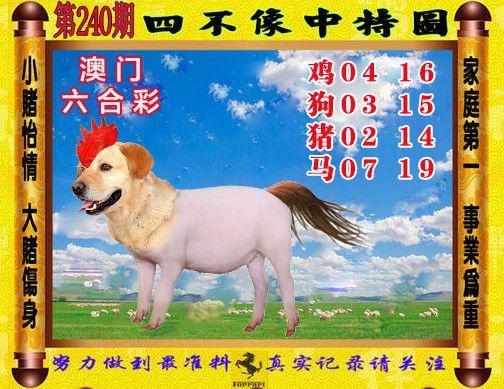 澳门天天开彩好正版挂牌340期与2025澳门精准正版免费四不像全面释义、解释与落实与警惕虚假宣传