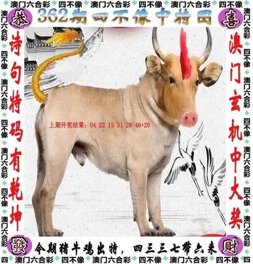 2024澳门资料免费大全鬼谷子,2025全面解析实用技巧分享