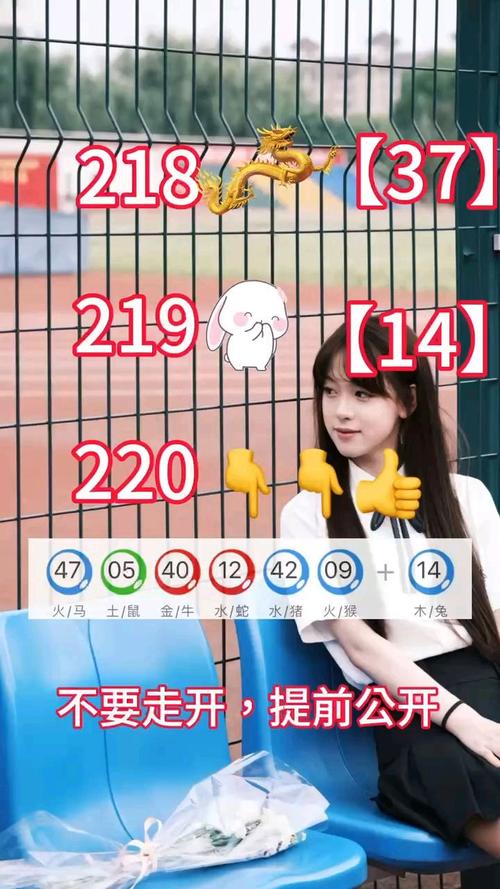 澳门先知网资讯公告