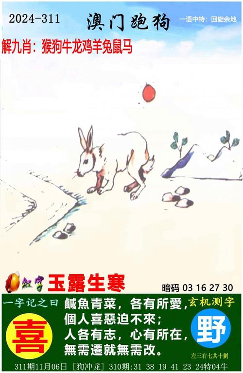 正版澳门天天开好彩大全58期,2025全面解析实用技巧分享