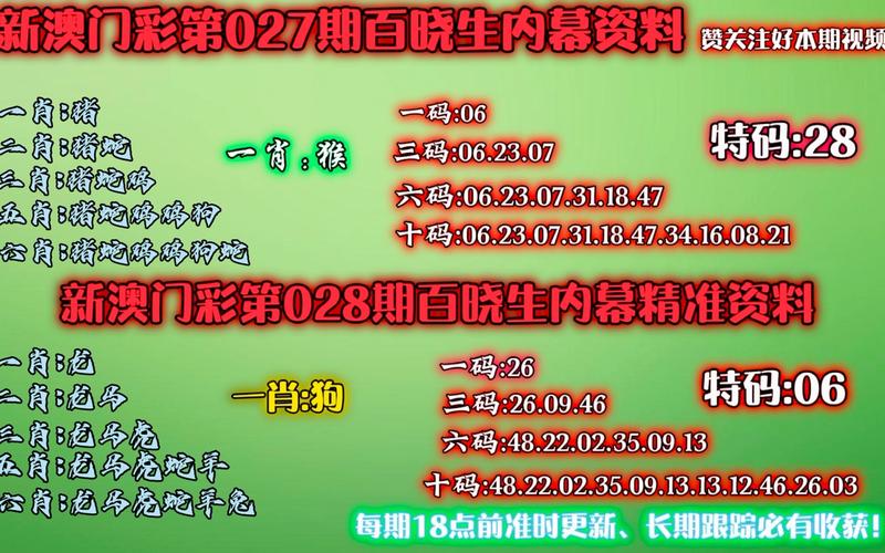 澳门一码一特一中准选今晚与新澳门今晚开奖直播现场全面释义、解释与落实与警惕虚假宣传