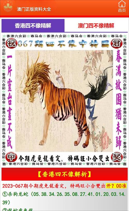 正版资料2025年澳门免费,2025全面解析实用技巧分享