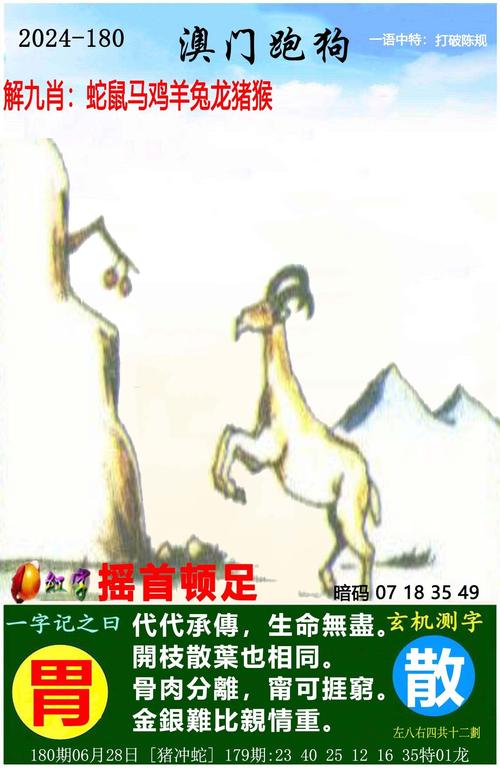 今晚必中一码一肖澳门2o21年277期开奖结果与澳门资料大全正版资料2024年免费脑筋急转弯全面释义、解释与落实与警惕虚假宣传