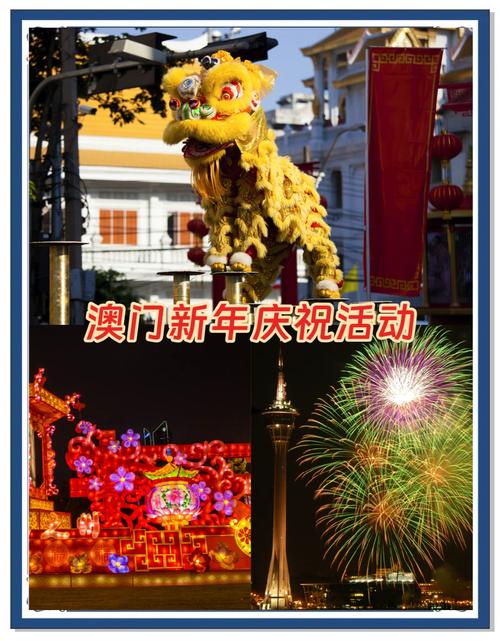 2025新澳门天天精准免费大全查询,2025年最新实用信息汇总指南