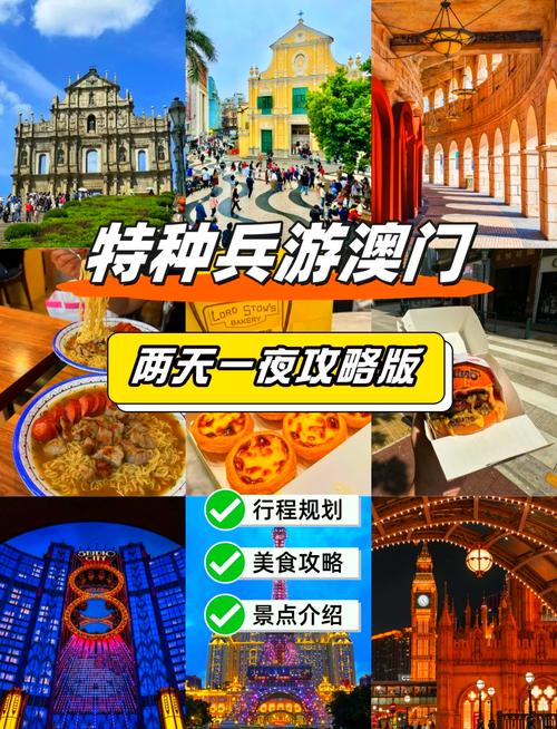 澳门最精准免费资料大全旅游景点和六盒宝典官网全面释义、专家解释与落实与警惕虚假宣传