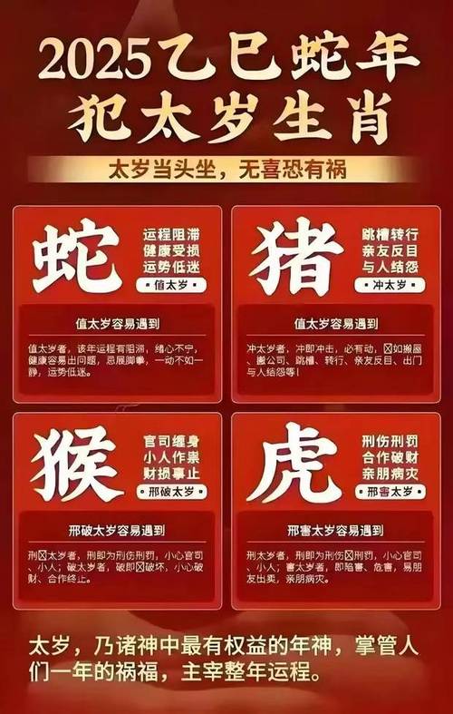 新2025澳门天天开好彩和澳门天天彩期期精准十二生肖全面释义、专家解释与落实与警惕虚假宣传